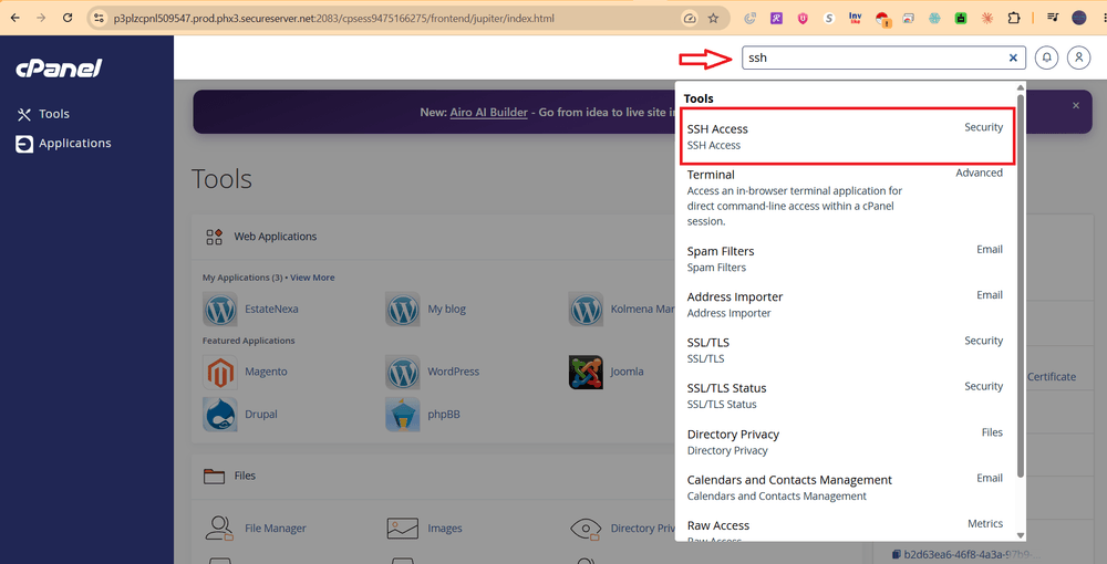 cPanel global search showing the SSH Access result highlighted